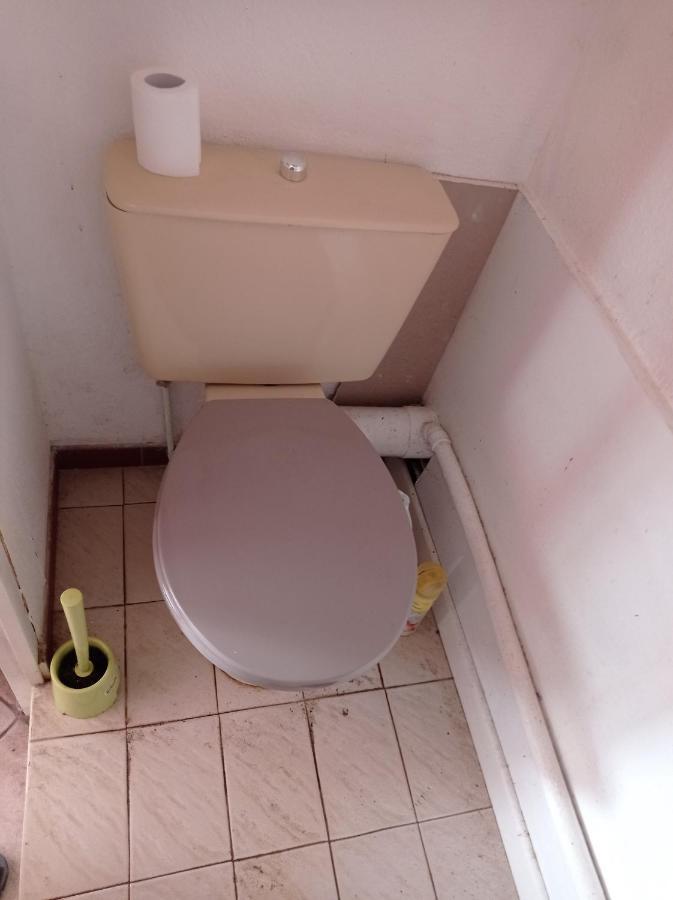Chambre Meublee Independante, Avec Piscine Et Jardin, 1 Lit Pour 2 Personnes Direct Gare Aeroport Toulouse Ngoại thất bức ảnh