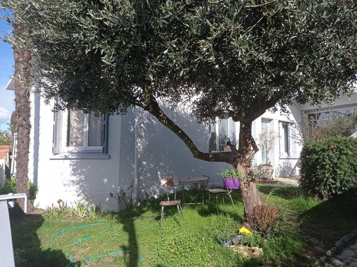 Chambre Meublee Independante, Avec Piscine Et Jardin, 1 Lit Pour 2 Personnes Direct Gare Aeroport Toulouse Ngoại thất bức ảnh